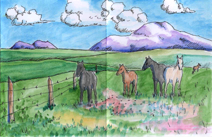 Tips for Daily Drawing: Embracing Creative Flow – Break The Static #16