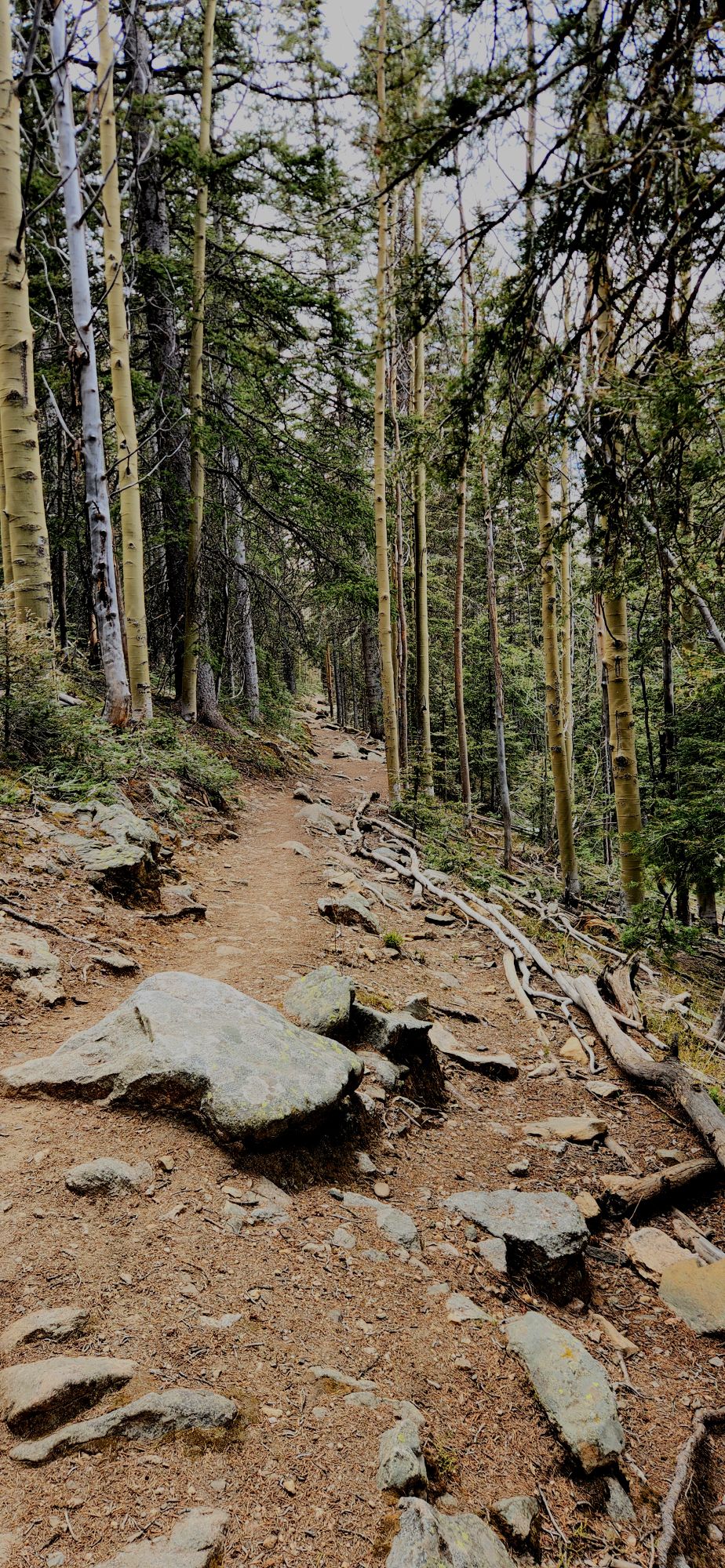 Painting the Winsor Trail in Oil- Break The Static&nbsp;#18